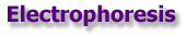 SOLSTAT Electrophoresis Power Supplies